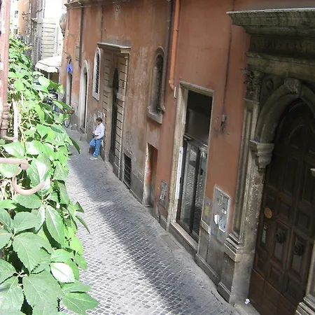 Baldassini Guest house 3*