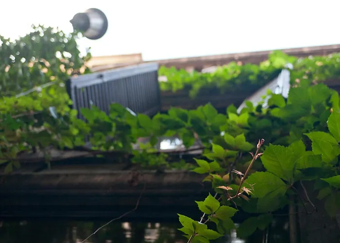 Maison d'hôtes Baldassini