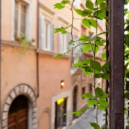 Guest house Baldassini Rome